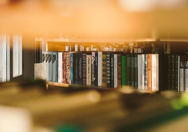 Theoretisch idealist